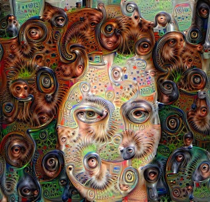 28167427_10214068213832071_2433133338177616512_n